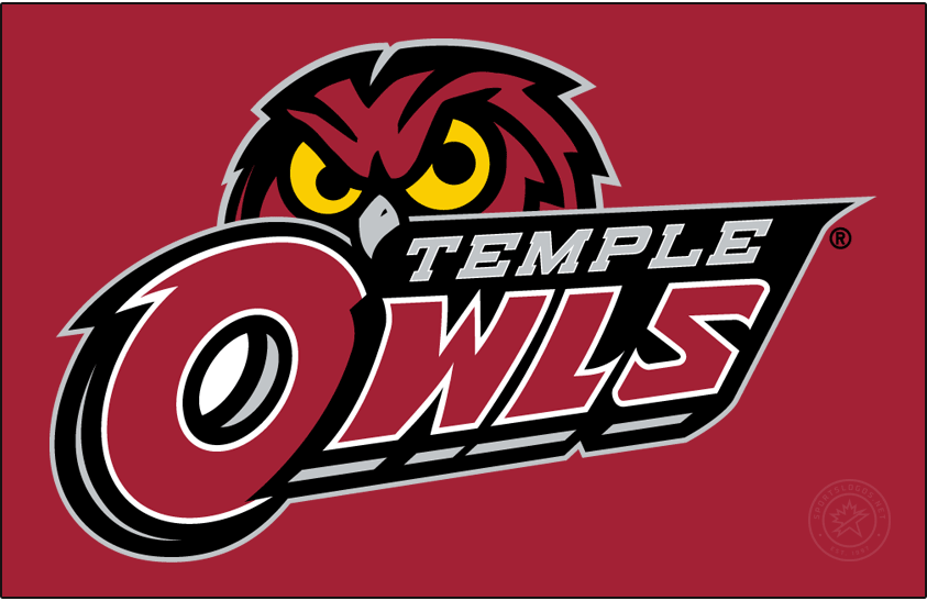 Temple Owls 2017-2020 Primary Dark Logo diy iron on heat transfer